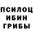 Галлюциногенные грибы Magic Shrooms Esk8 Jaimes