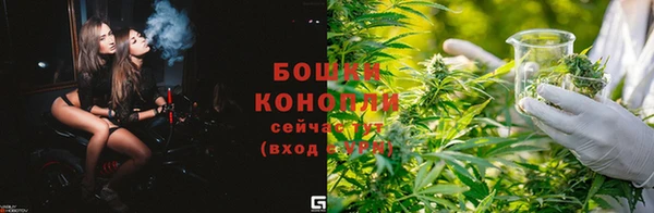 каннабис Дмитров